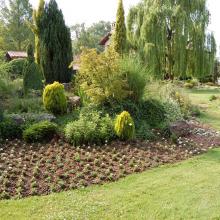 Karaca Arboretum (Ağaç Müzesi)